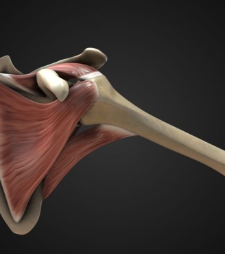 Παθήσεις ώμου